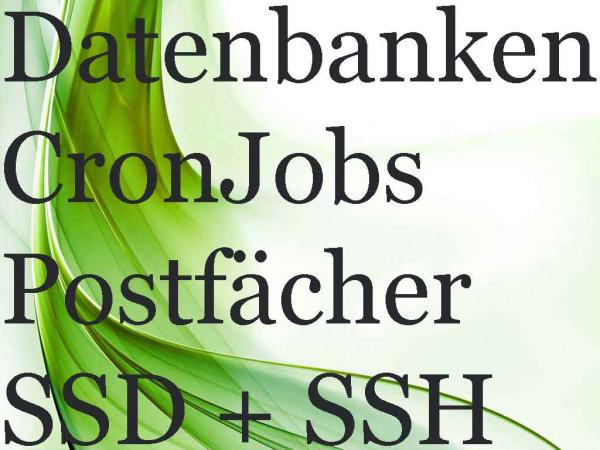 Gambio Hosting 50 GB SSD – Premiumleistung für nur 9 €/Monat sichern